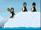 guerra de pinguinos