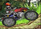 ATV-BLITZ