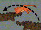 juego cocodrilo aventura
