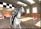 Juego caballo de saltos en 3d