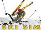 Juego ski simulator