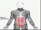 preguntas cuerpo humano