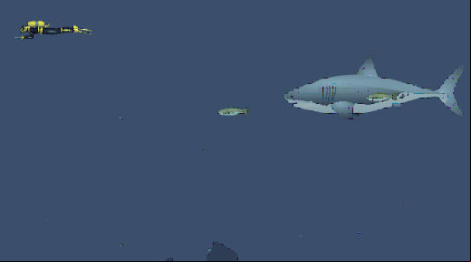 juego shark