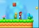 MARIO ADVENTURE