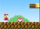 LA HERMANA DE MARIO BROSS