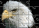 Juego Puzzle Mania